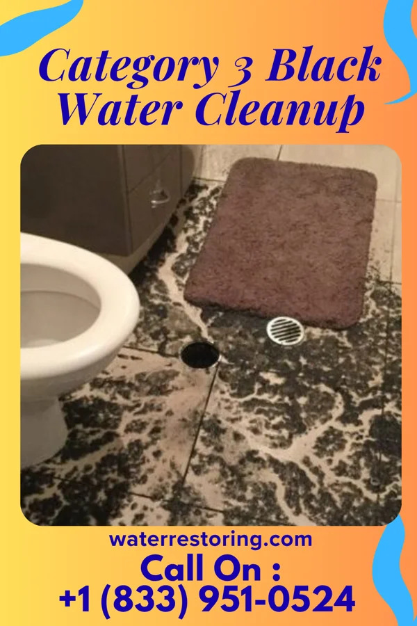 Category 3 Black Water Cleanup in Ramblewood, PA