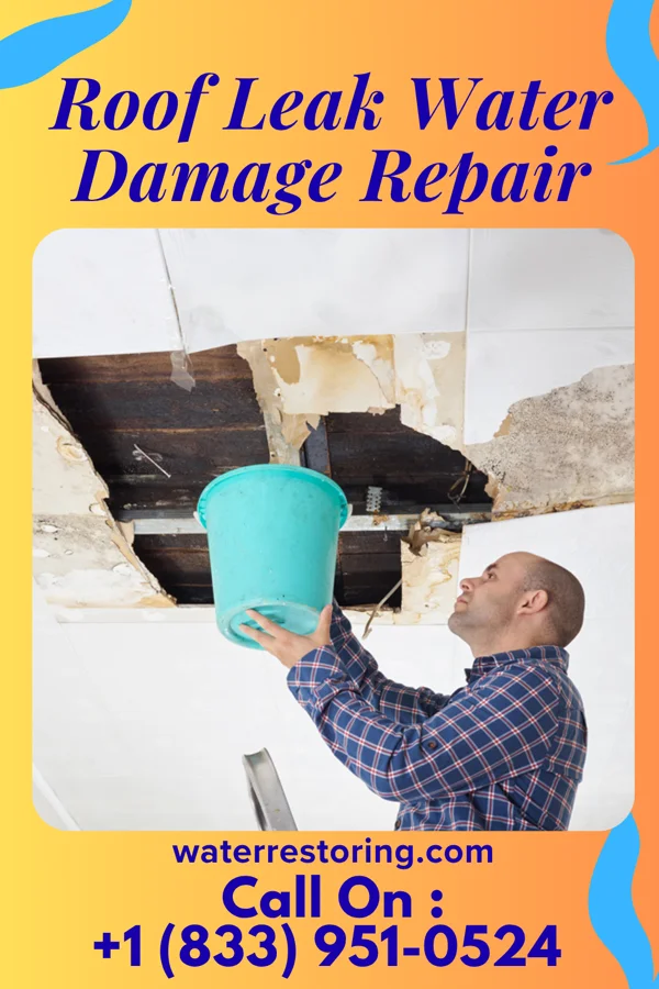 Roof Leak Water Damage Repair in Ramblewood, PA