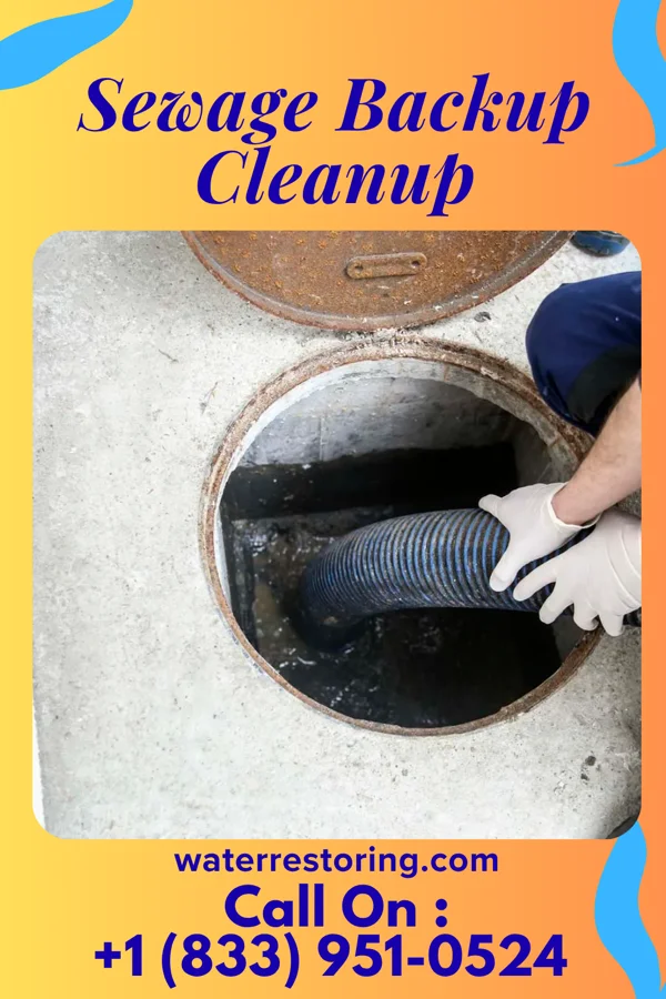 Sewage Backup Cleanup in Ramblewood, PA