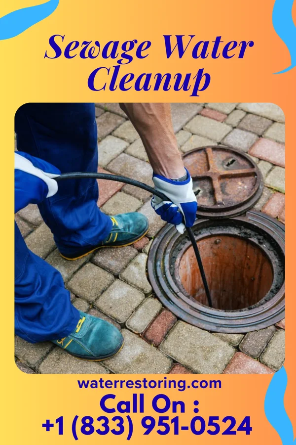 Sewage Water Cleanup in Ramblewood, PA